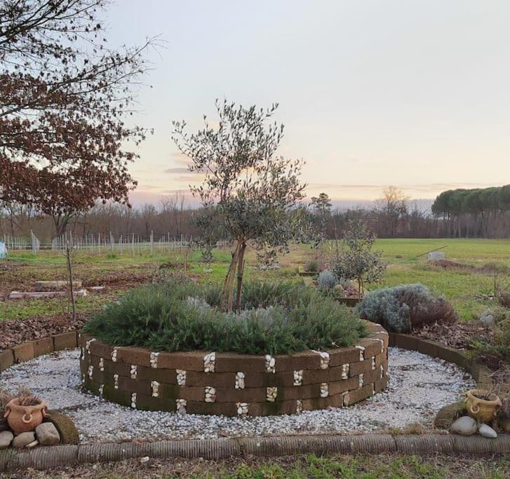 Villa Donnola: Casa Rosmarino Fucecchio Buitenkant foto